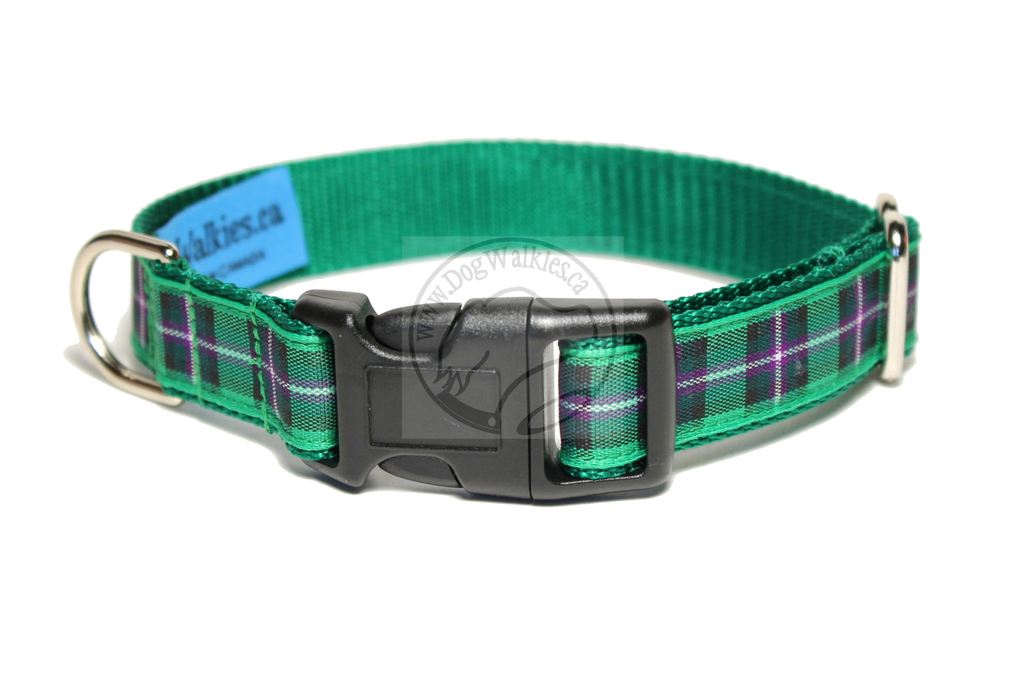 Hibernian FC Hibs tartan - dog collar