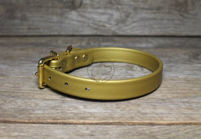 Gold Biothane Dog Collar - 3/4" (20mm) wide