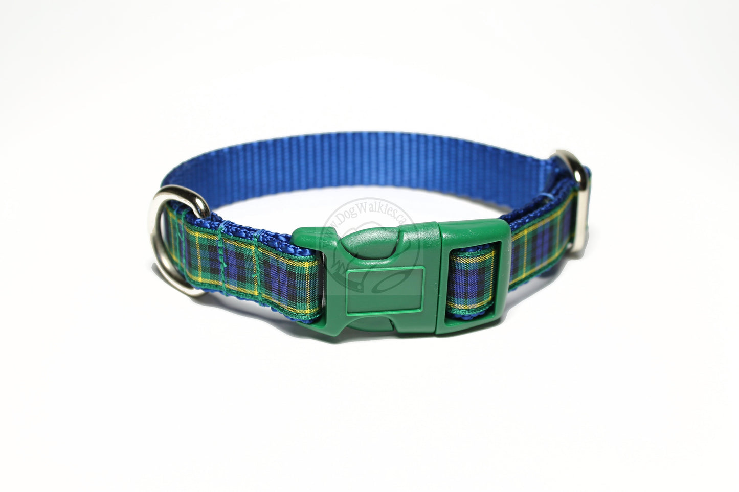 Gordon clan tartan - dog collar