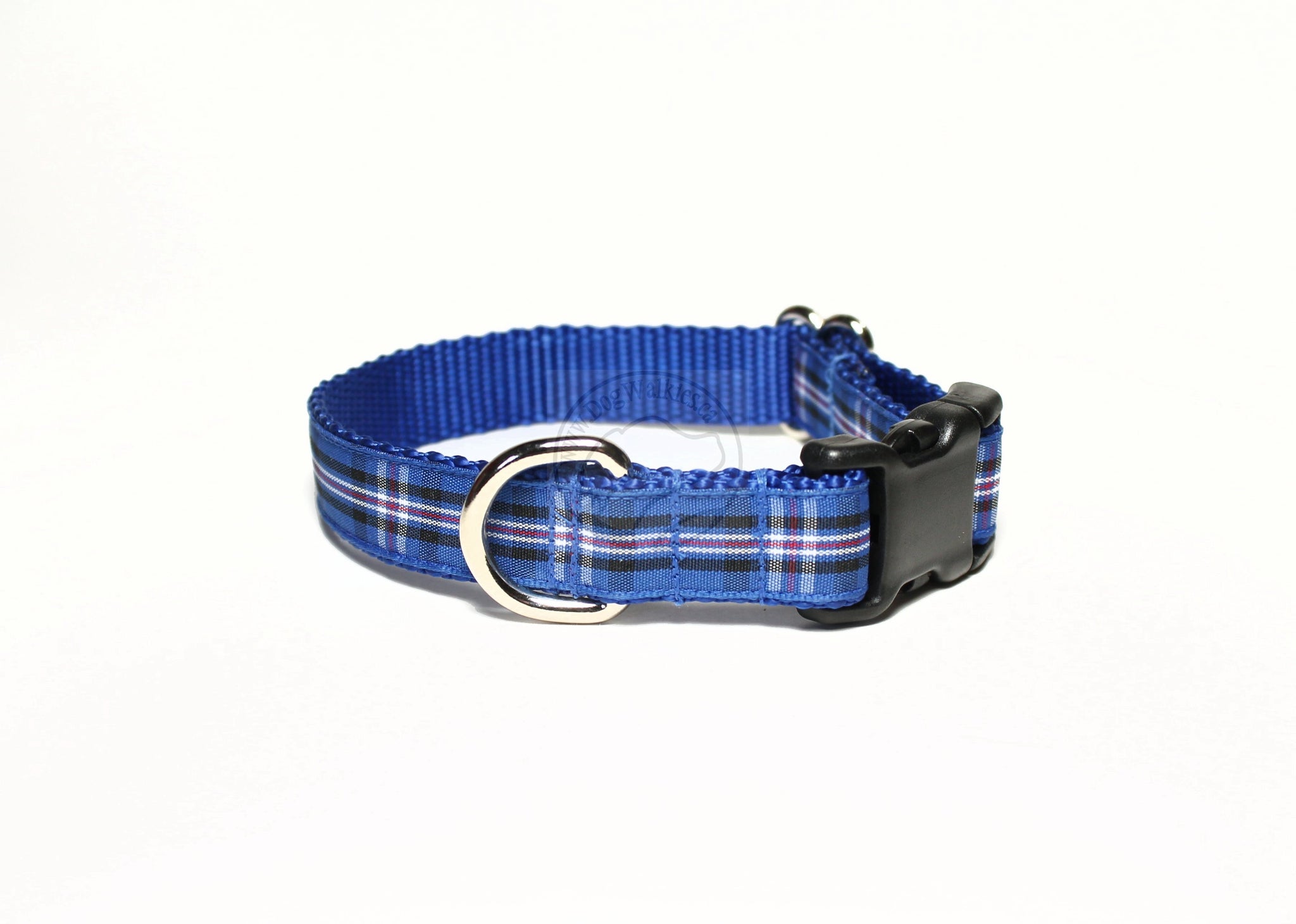 Rangers FC tartan - dog collar
