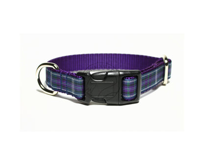 Pride of Bannockburn tartan - dog collar
