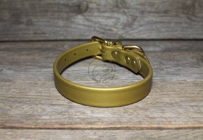 Gold Biothane Dog Collar - 3/4" (20mm) wide