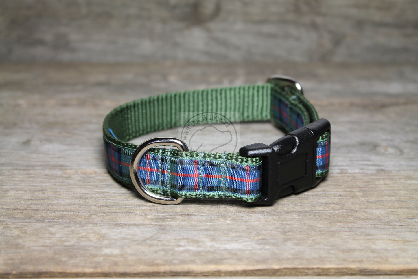 Flower of Scotland tartan - dog collar