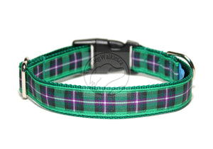 Hibernian FC Hibs tartan - dog collar