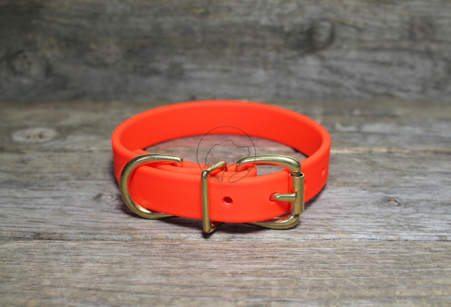 Neon Blaze Orange Biothane Dog Collar - 3/4" (20mm) wide