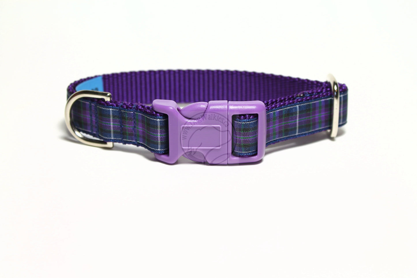 Pride of Scotland Modern tartan - dog collar