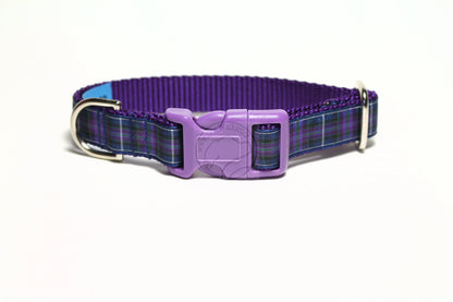 Pride of Scotland Modern tartan - dog collar