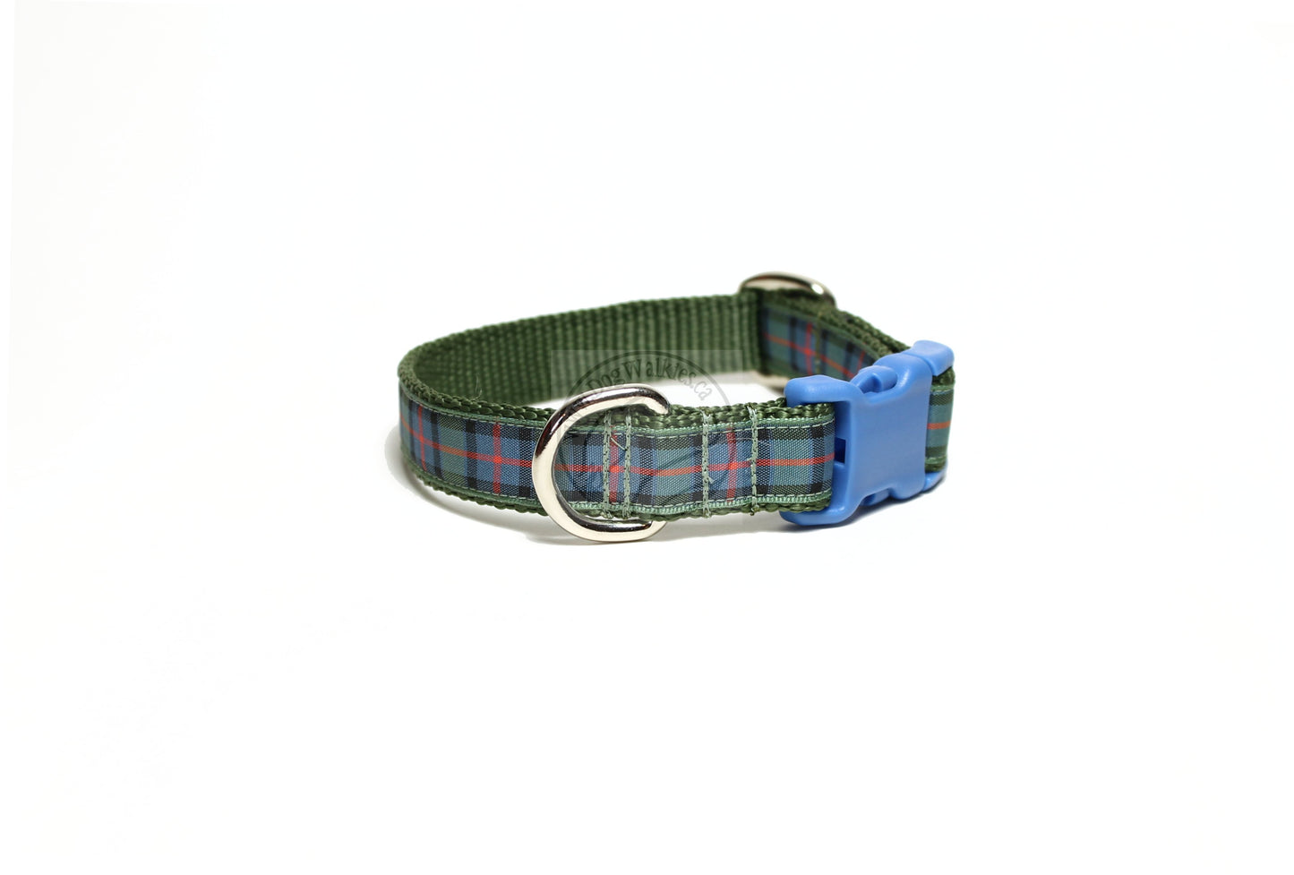 Flower of Scotland tartan - dog collar