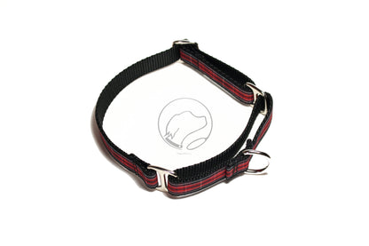 Pride of Wales tartan - dog collar