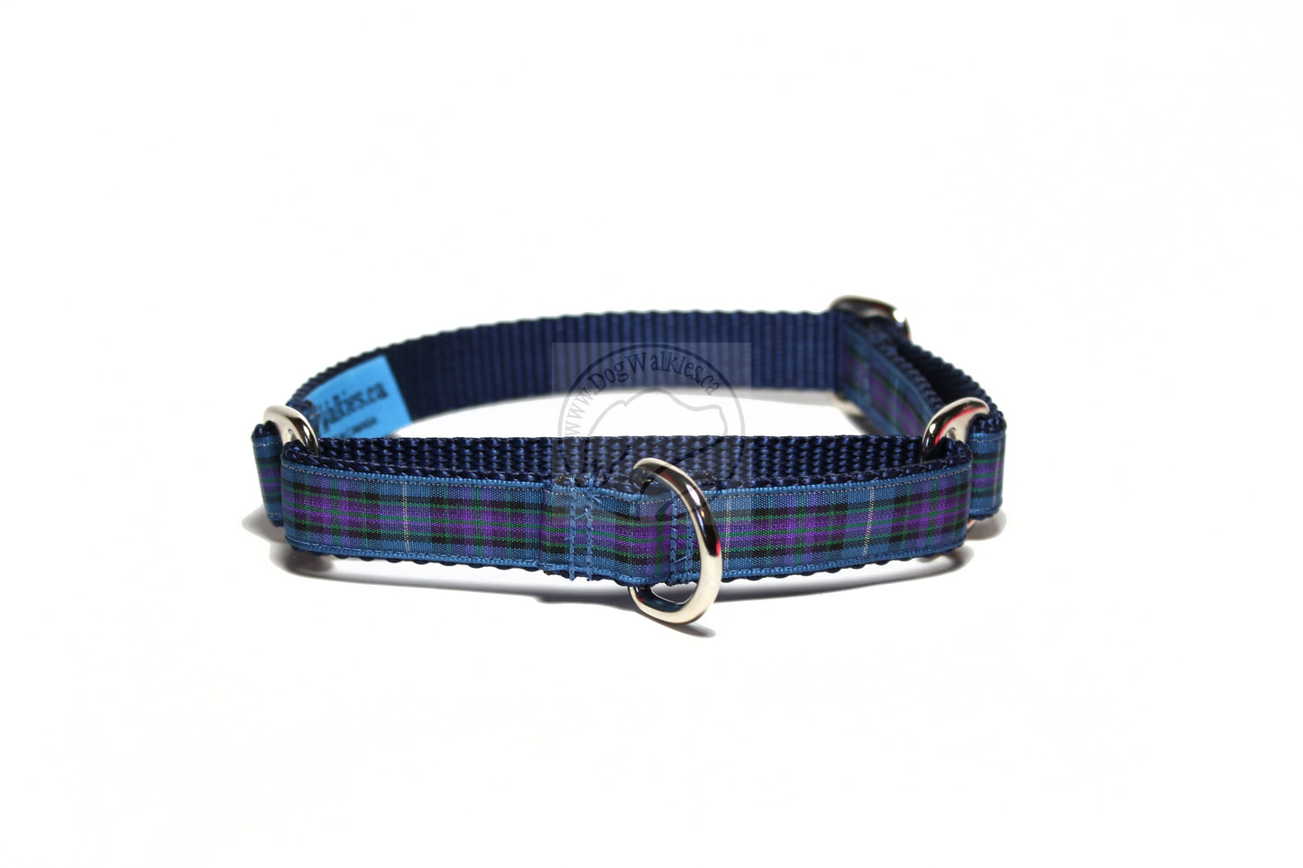 Pride of Scotland Ancient tartan - dog collar
