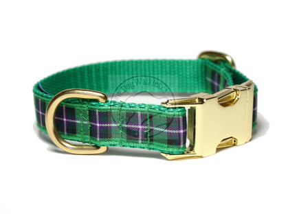 Hibernian FC Hibs tartan - dog collar