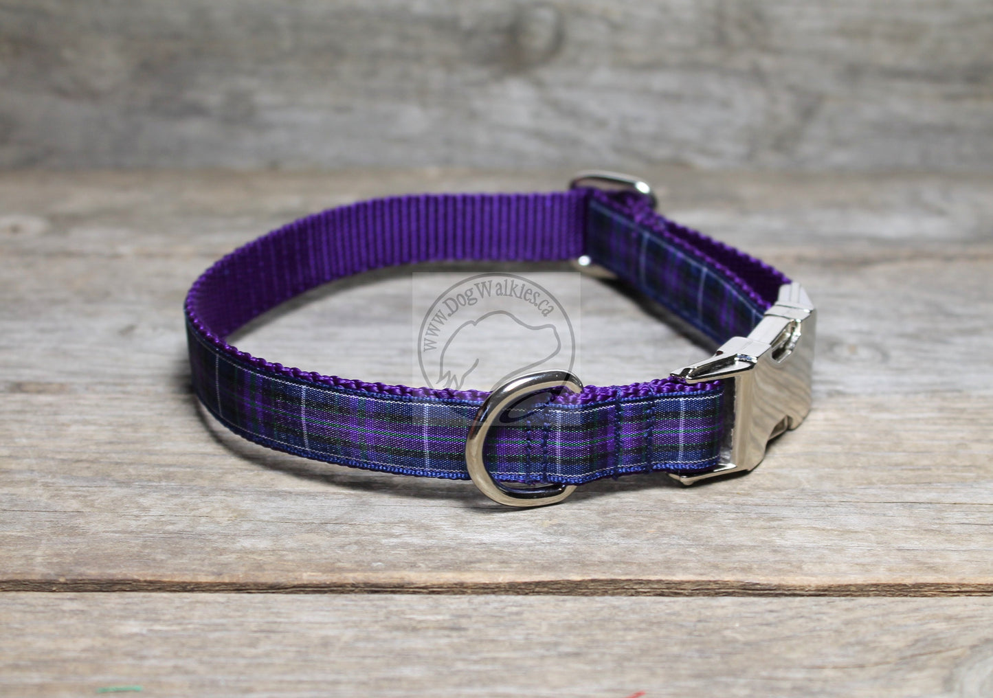 Pride of Scotland Modern tartan - dog collar