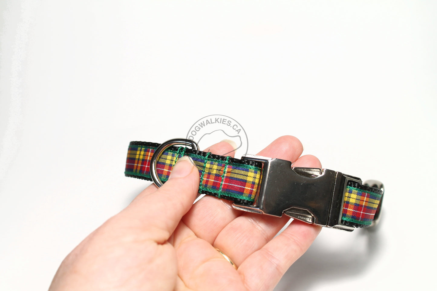 Buchanan clan tartan - dog collar