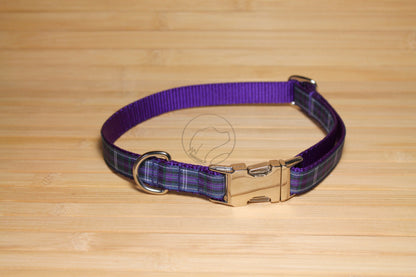 Pride of Bannockburn tartan - dog collar