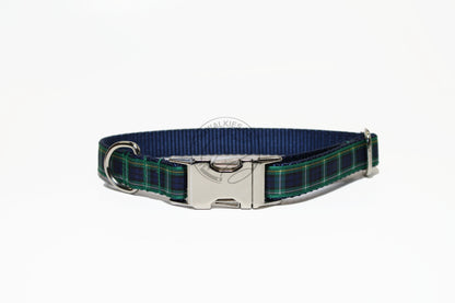 Campbell clan tartan - dog collar