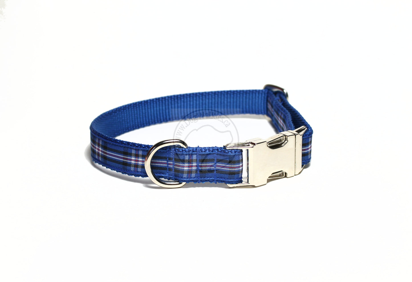 Rangers FC tartan - dog collar
