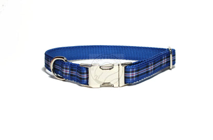 Rangers FC tartan - dog collar