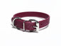 Medium Dog Collar in Genuine Biothane - 20mm (3/4") width - 40 colours
