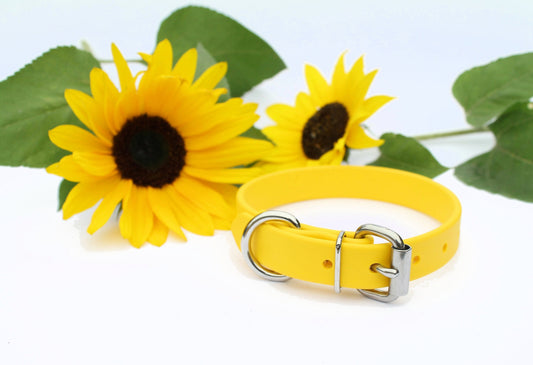 Sunflower Yellow Biothane Dog Collar - 3/4" (20mm) wide