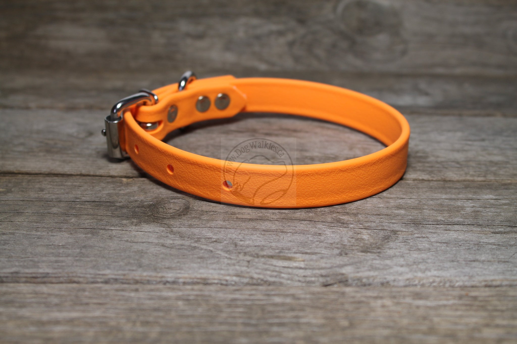 Bright Pumpkin Orange Biothane Dog Collar - 3/4" (20mm) wide