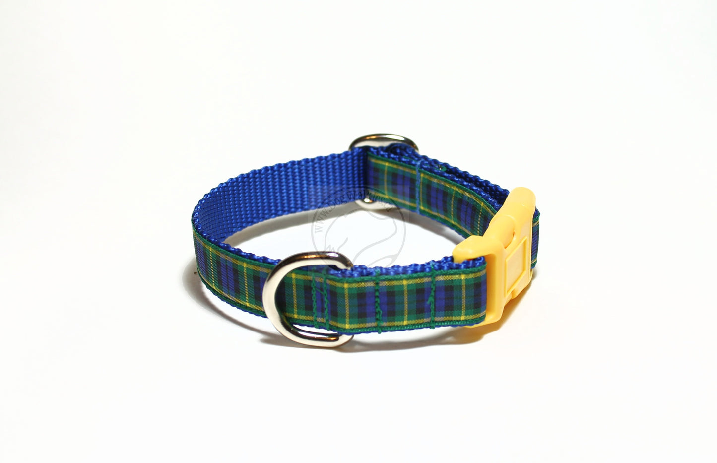 Gordon clan tartan - dog collar