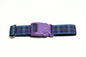 Pride of Scotland Ancient tartan - dog collar