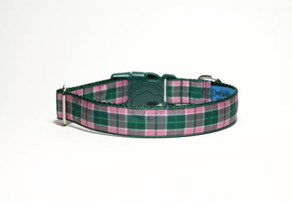 MacDonald of Kingsburgh Clan tartan - dog collar