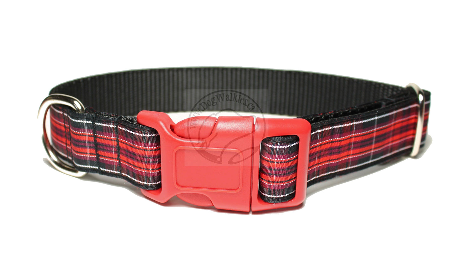 Pride of Wales tartan - dog collar