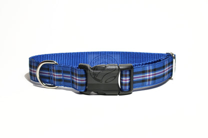 Rangers FC tartan - dog collar
