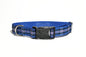 Rangers FC tartan - dog collar