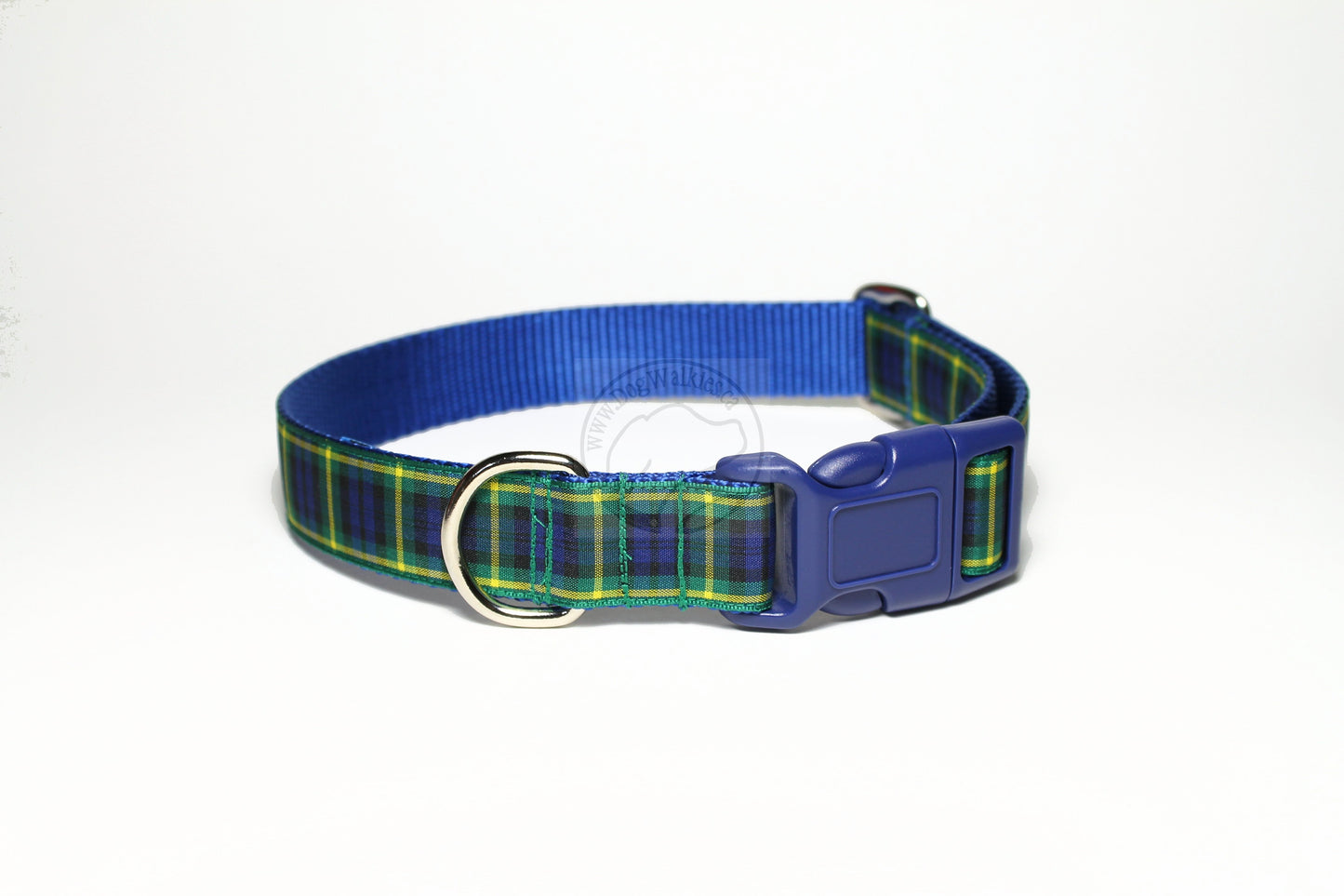 Gordon clan tartan - dog collar