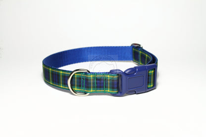 Gordon clan tartan - dog collar