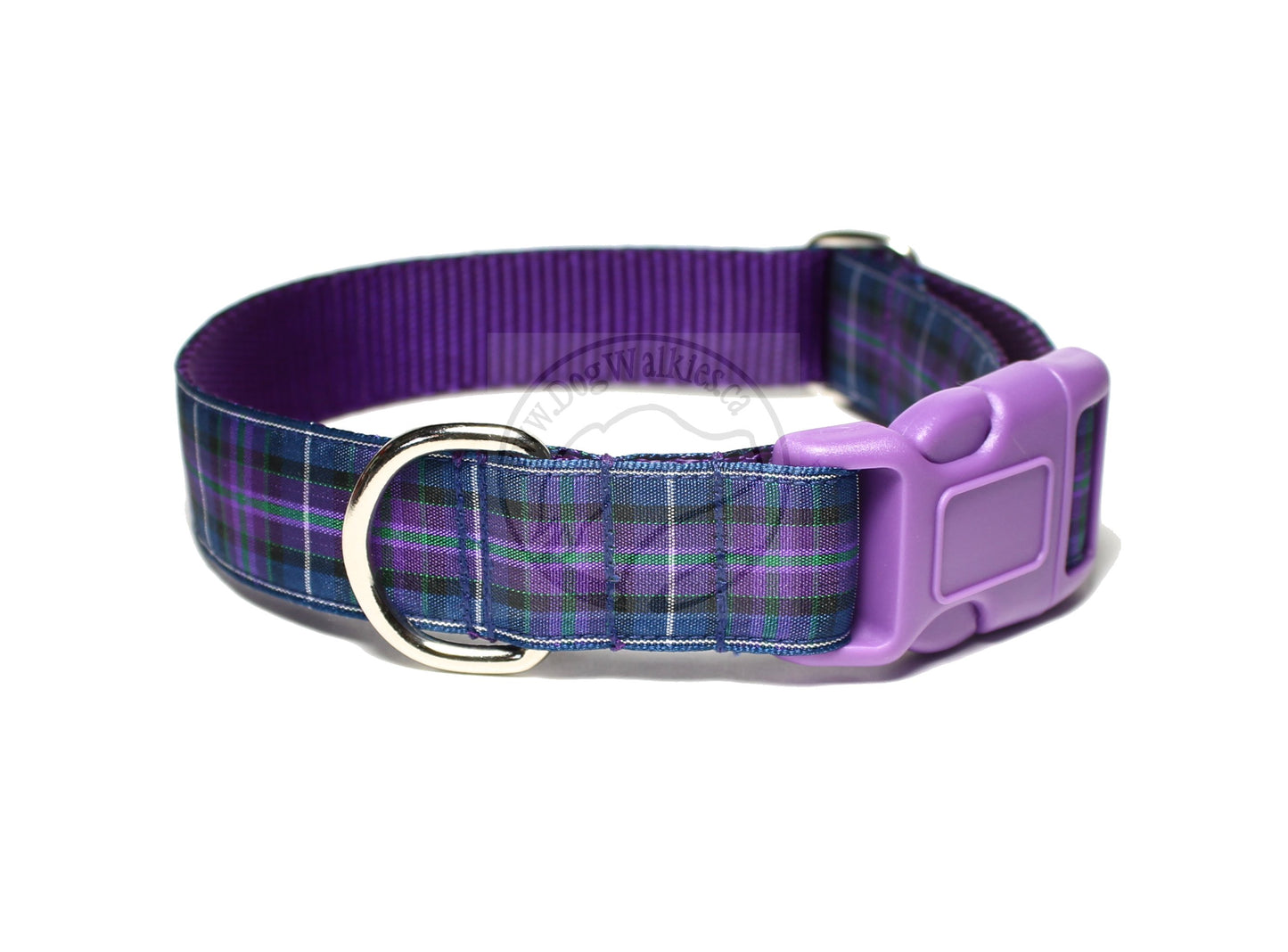 Pride of Scotland Modern tartan - dog collar