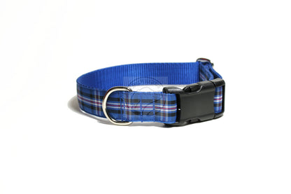 Rangers FC tartan - dog collar