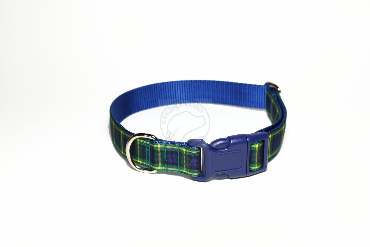 Gordon clan tartan - dog collar