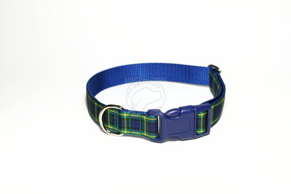 Gordon clan tartan - dog collar