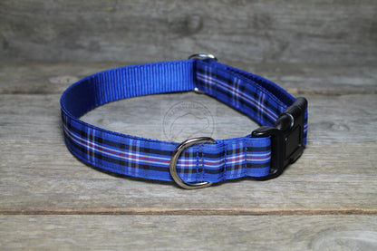 Rangers FC tartan - dog collar