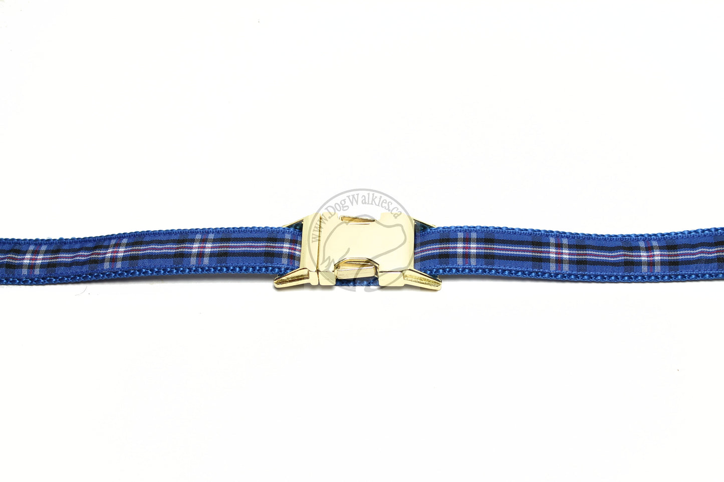 Rangers FC tartan - dog collar