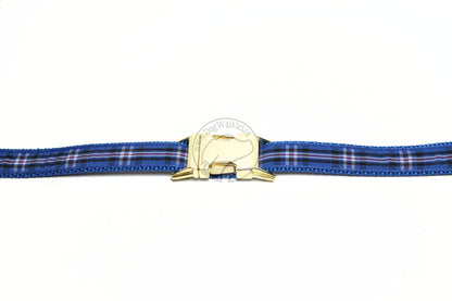 Rangers FC tartan - dog collar