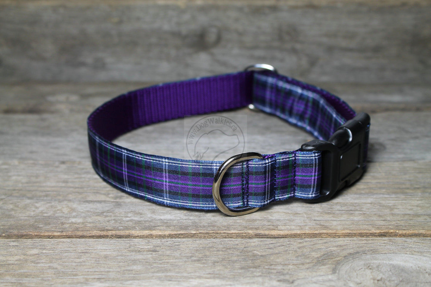 Pride of Bannockburn tartan - dog collar
