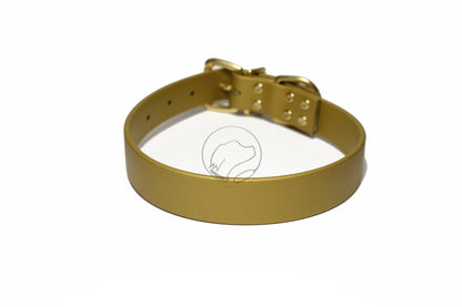 Gold Biothane Dog Collar - 1 inch (25mm) wide - Discontinued