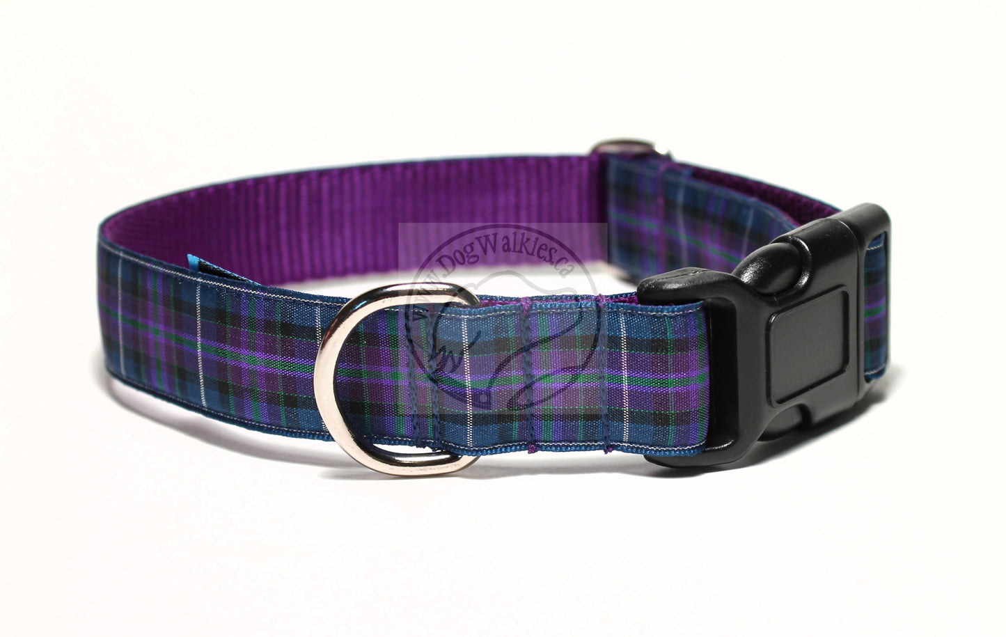 Pride of Scotland Modern tartan - dog collar