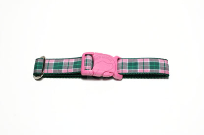 MacDonald of Kingsburgh Clan tartan - dog collar