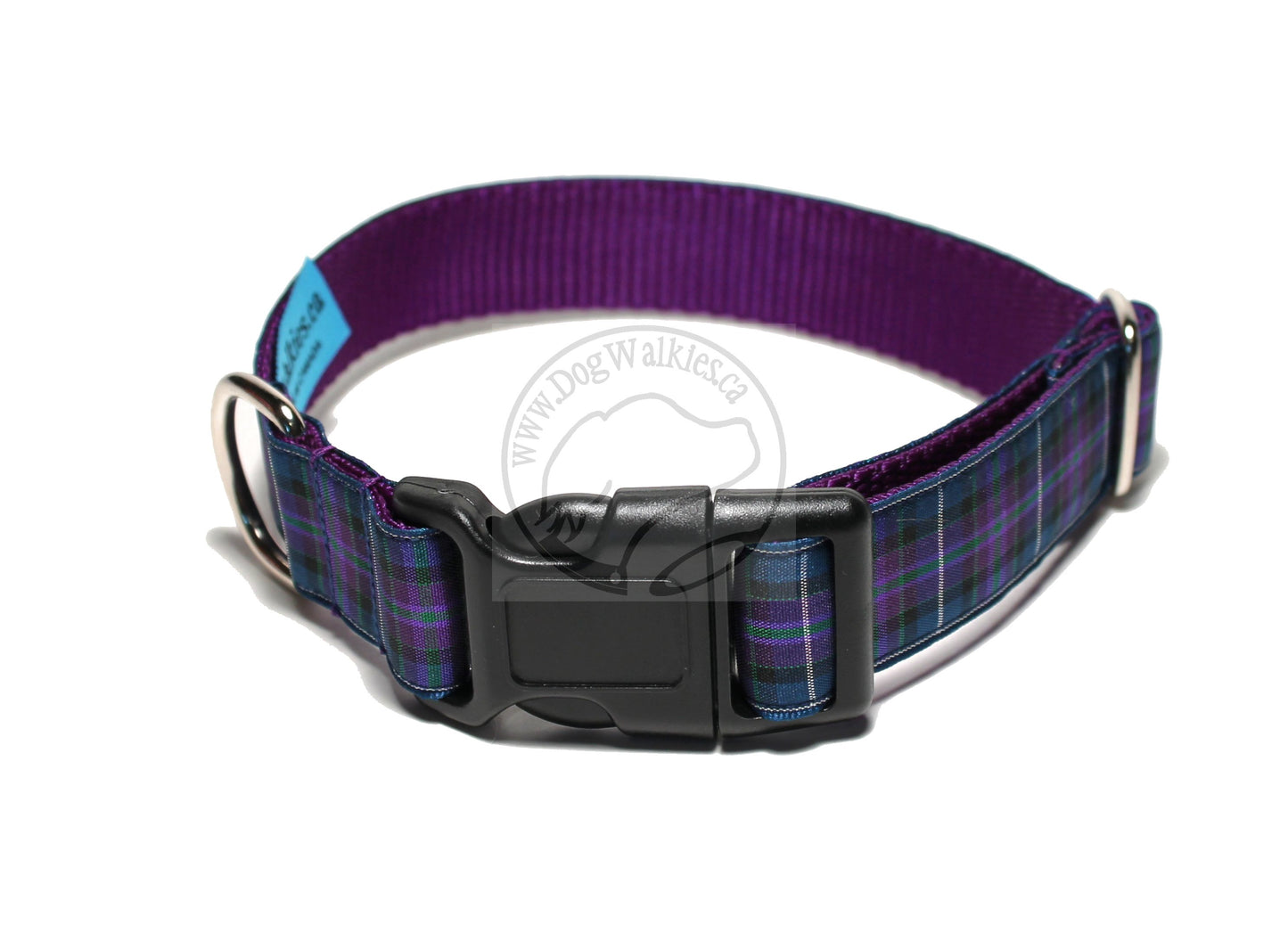 Pride of Scotland Modern tartan - dog collar