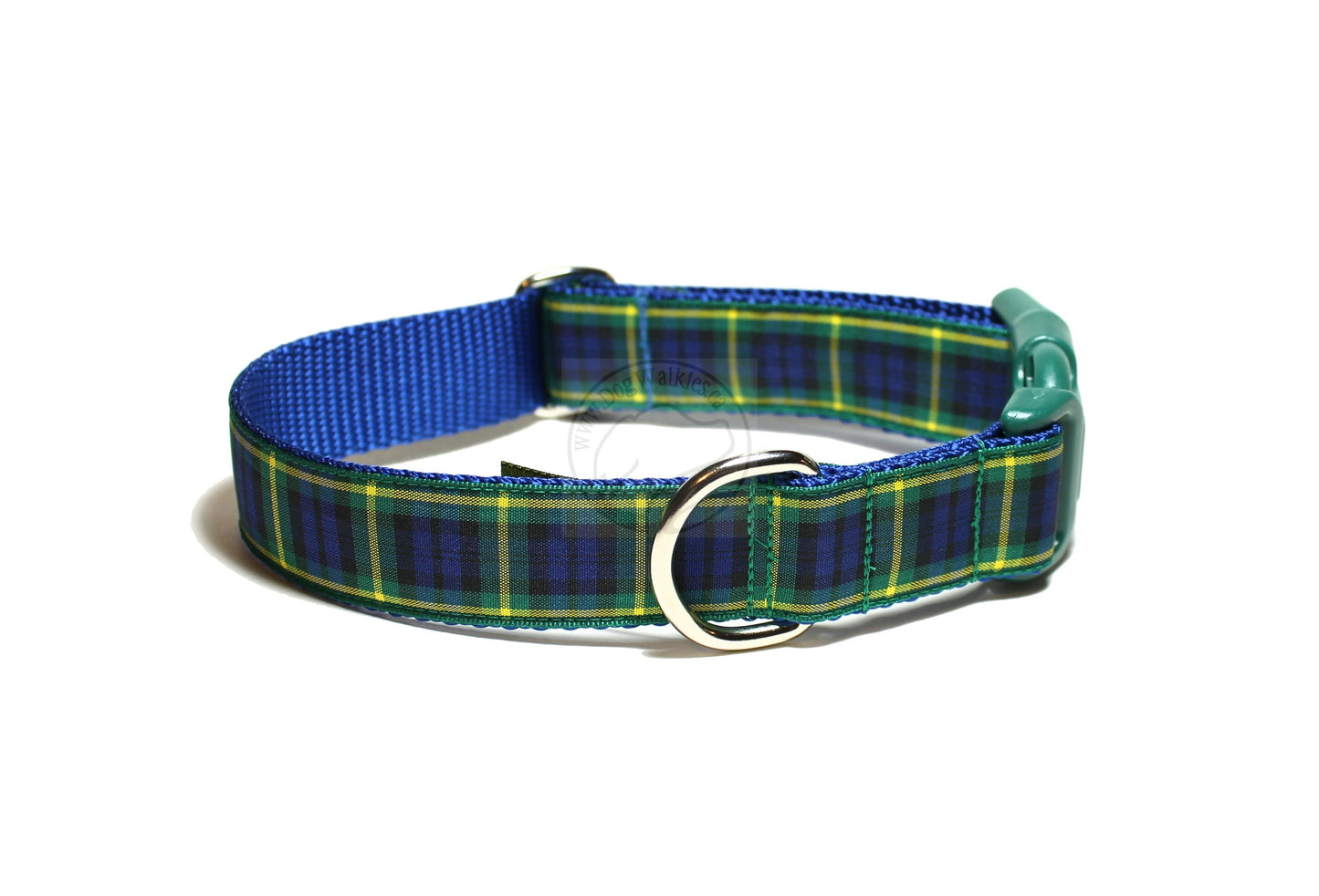 Gordon clan tartan - dog collar