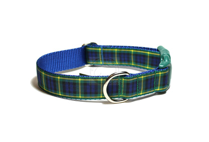 Gordon clan tartan - dog collar