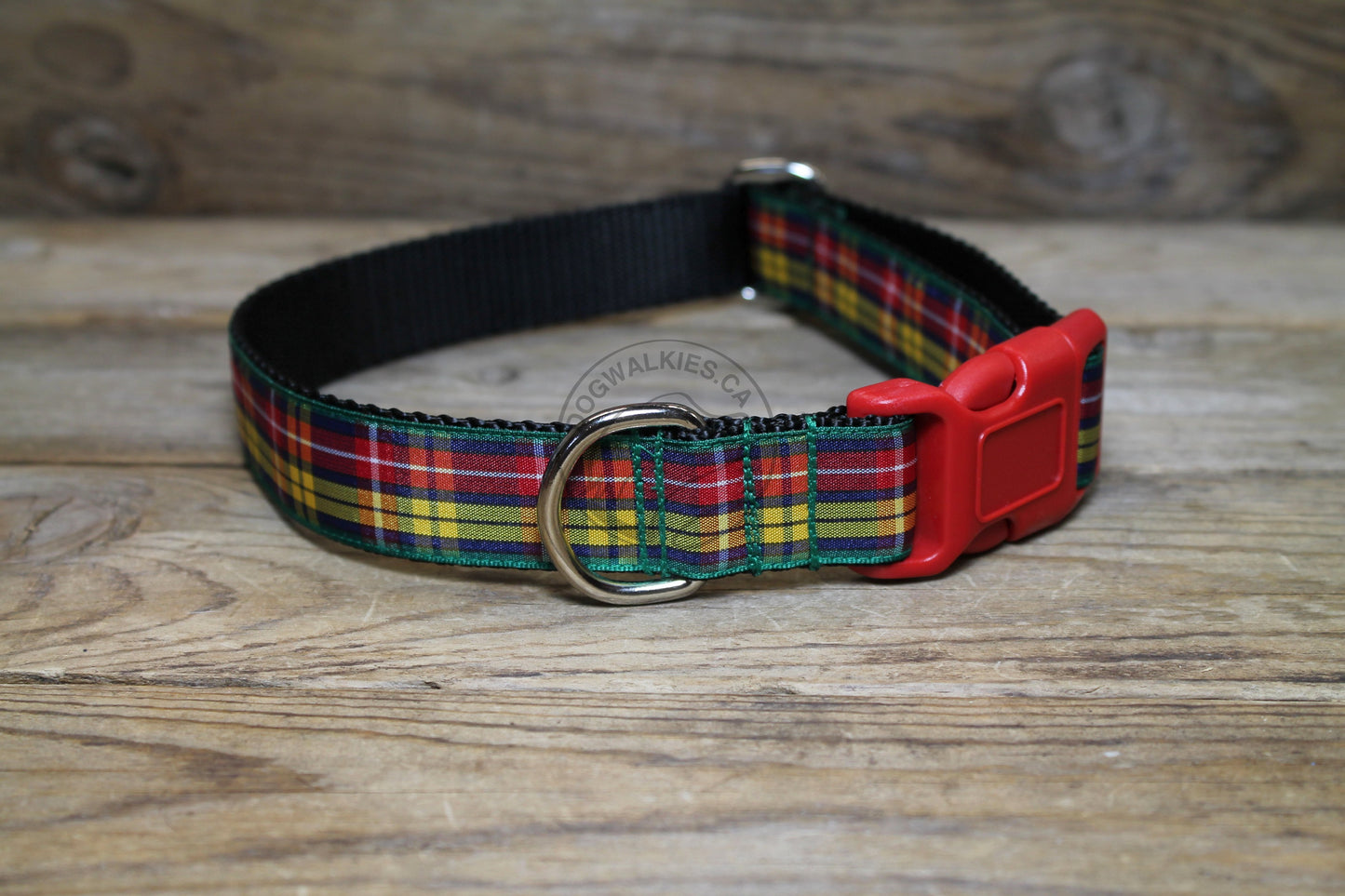 Buchanan clan tartan - dog collar