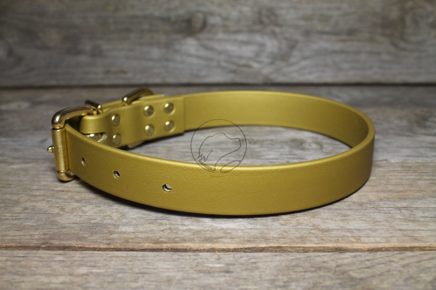 Gold Biothane Dog Collar - 1 inch (25mm) wide - Discontinued