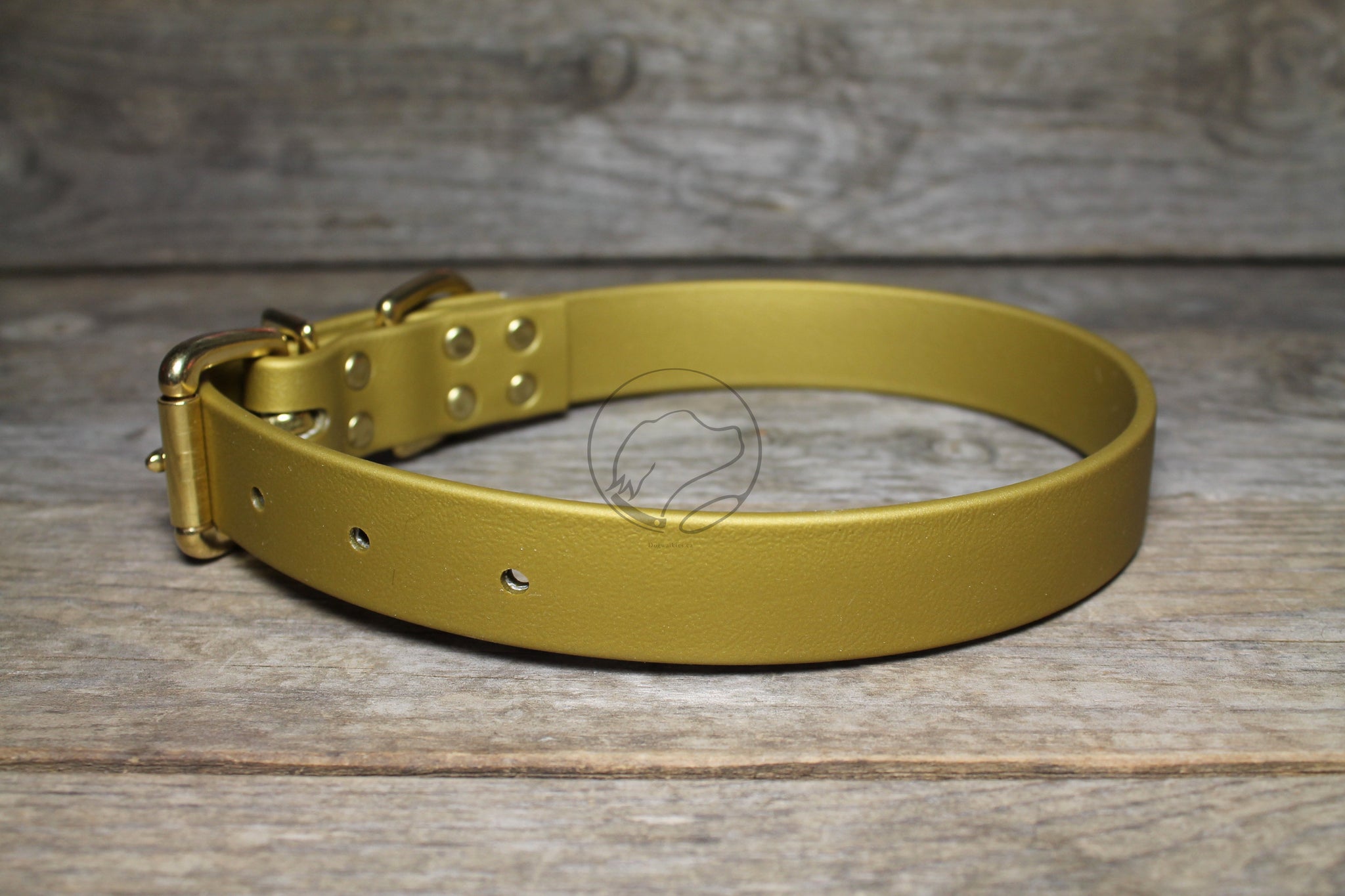 Gold Biothane Dog Collar - 1 inch (25mm) wide