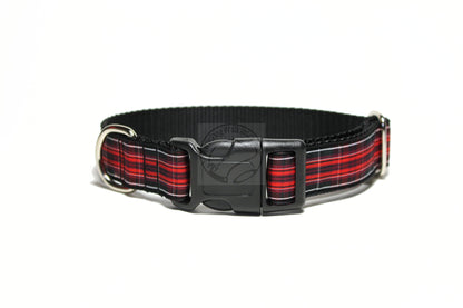 Pride of Wales tartan - dog collar